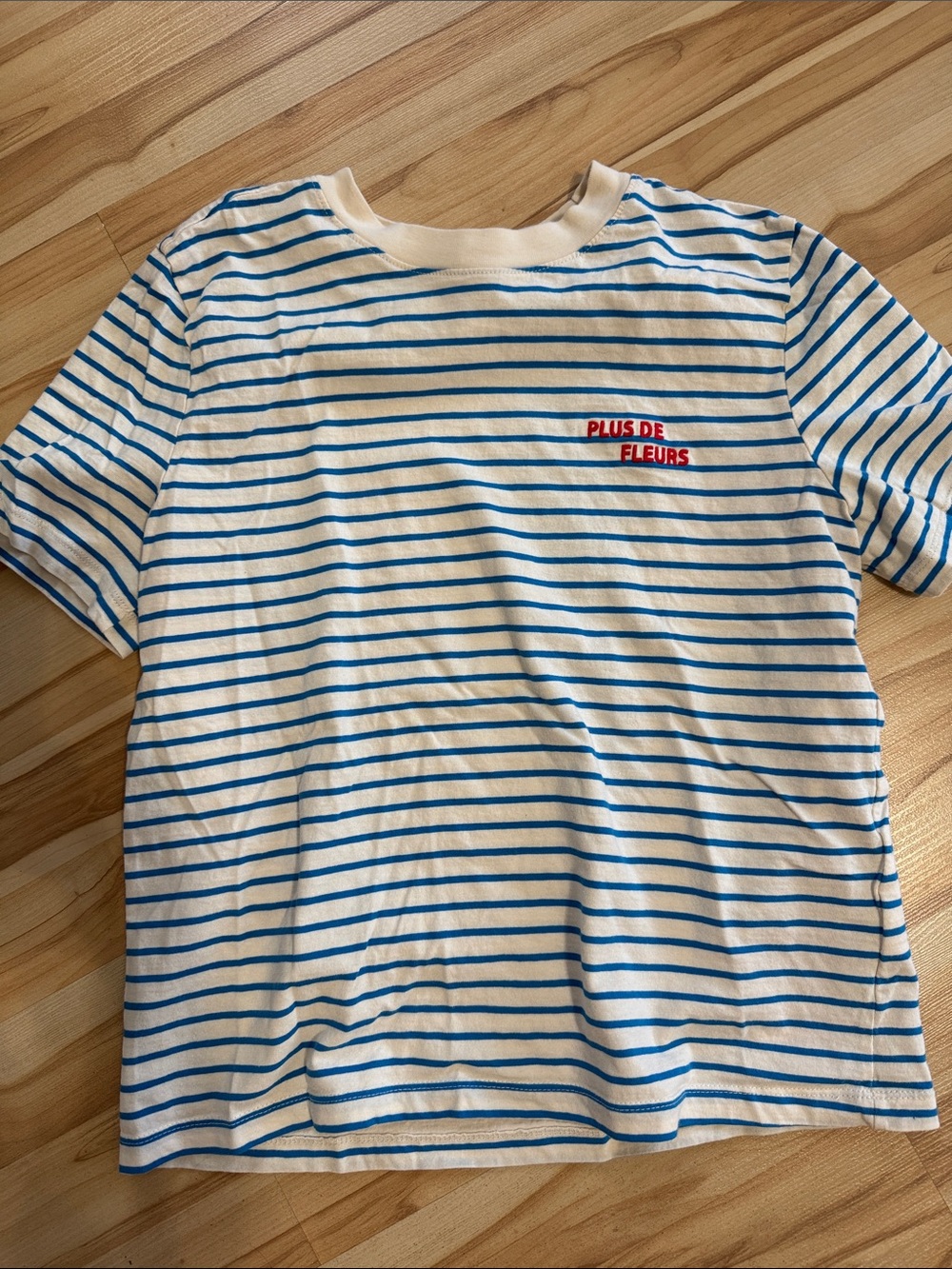 Women’s H&M Striped Blue & White Tee with Red Embroidered 'Plus De Fleurs'